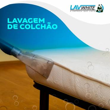 Porque Lavar Colchão